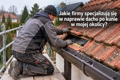 Jakie firmy specjalizują się w naprawie dachu po kunie w mojej okolicy?